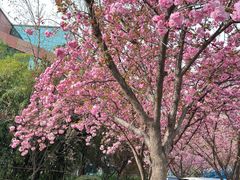 -城市运动公园(未央区)