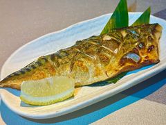 -鸟泉居酒屋·烧鸟·酒馆(百子湾店)
