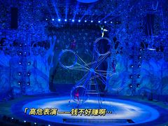 -灵玲国际马戏城