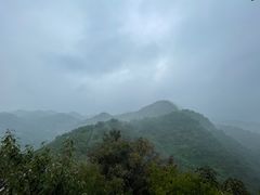 -大岭沟猕猴桃谷风景区