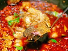 -大鱼山房鱼头火锅(老字号品质店)