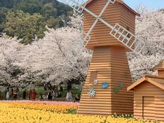 -苏州上方山国家森林公园