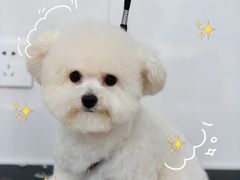 -北京恒爱动物医院(清景园分院)