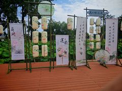 -陶辛水韵