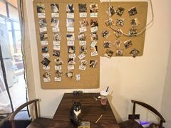 -楼上猫咖(罗湖店)