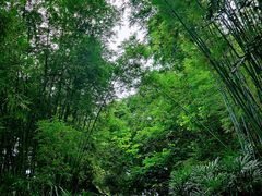 -人民公园(罗湖区)