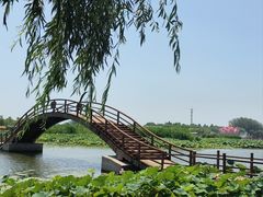 -白洋淀风景区