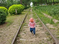 -永定河休闲森林公园