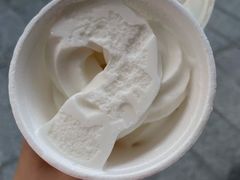 -洪馨椰子