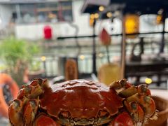 -蟹村草堂·苏式园林人文农家·大闸蟹