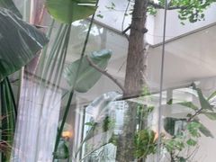-IL Forno 意坊·意大利餐厅(花园店)
