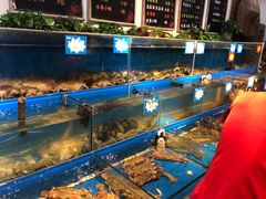 水产区-黄寺蒸汽海鲜(黄寺大街店)
