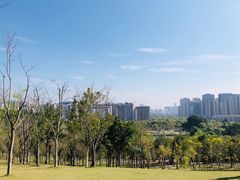 -牛岗山公园