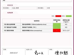 -喵百万·布偶·蓝金金渐层英短·猫舍(百子湾店)