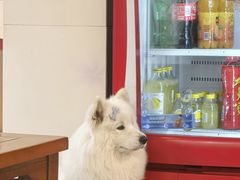 -陈记鱼厨卫城老店