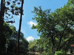 -人民公园(罗湖区)