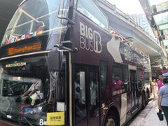 -Big Bus Tours 敞篷观光巴士