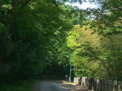 -上海佘山国家森林公园西佘山园