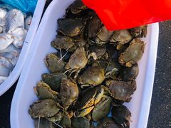 -芦潮港集贸市场