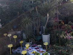 -桂林市花鸟市场