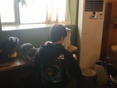 -猫猫幼稚园·撸猫·桌游·电玩