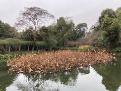 -成都杜甫草堂博物馆