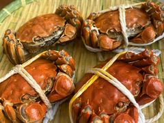 -蟹天蟹地农家菜·阳澄湖大闸蟹(浅水湾店)