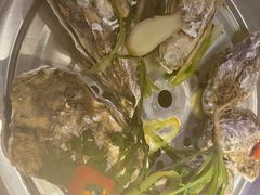 -千岛蚝高压锅生蚝·人参火锅(白云万达店)