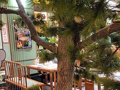 -松沪名灶·豆浆鱼头·新上海菜(飞航吾悦广场店)