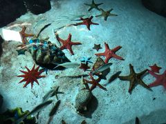 -福州罗源湾海洋世界旅游区