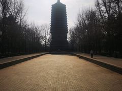 -玲珑塔公园