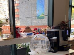 -土豆口腔(凤凰北总店)