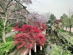 -东湖落雁景区