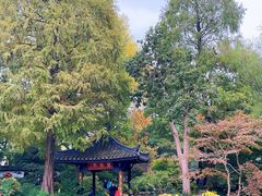 -杭州植物园