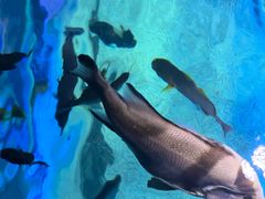 -沈阳海洋探索中心