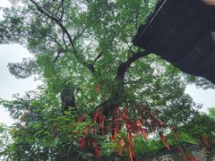 -尧坝古镇