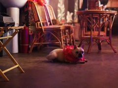 -The Tiki Bungalow提基小木屋酒吧