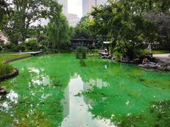 -静安公园(静安寺街道)