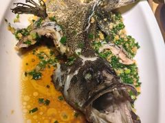 香葱焗石斑鱼-尚一汤·粤菜海鲜(环球港店)