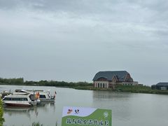 -荷兰花海