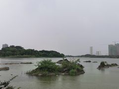 -飞来湖湿地公园