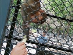 -长白岛森林公园