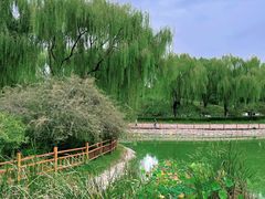 -燕郊植物园