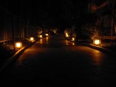 -咸宁万豪温泉谷度假区