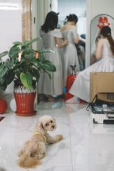 -艾米婚纱&婚礼策划