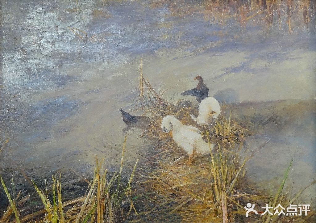 🌿清河老树画闲鸭
