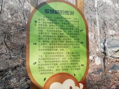 -大岭沟猕猴桃谷风景区