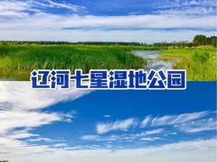 -蒲河岛湿地公园
