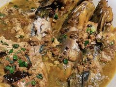 -鸽子窝(宋庄店)