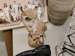 -猫头鹰照相馆(国贸店)